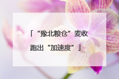“豫北粮仓”麦收跑出“加速度”