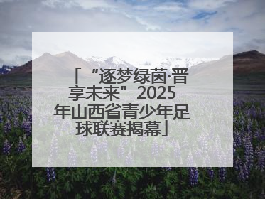 “逐梦绿茵·晋享未来”2025年山西省青少年足球联赛揭幕