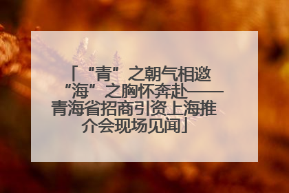 “青”之朝气相邀 “海”之胸怀奔赴——青海省招商引资上海推介会现场见闻