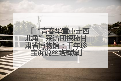 “青春华章重走西北角”采访团探秘甘肃省博物馆：千年珍宝诉说丝路辉煌