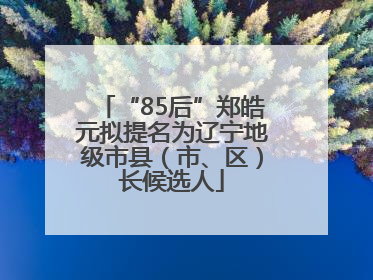 “85后”郑皓元拟提名为辽宁地级市县（市、区）长候选人