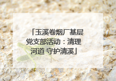 玉溪卷烟厂基层党支部活动：清理河道 守护清溪