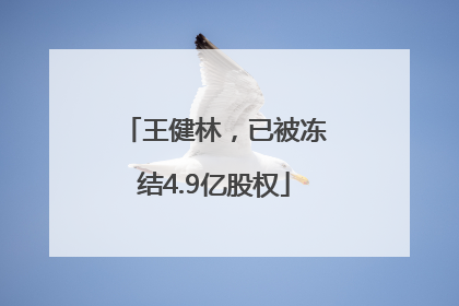 王健林，已被冻结4.9亿股权