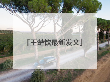 王楚钦最新发文