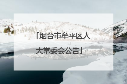 烟台市牟平区人大常委会公告