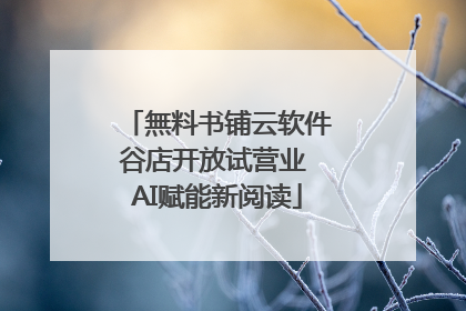無料书铺云软件谷店开放试营业 AI赋能新阅读