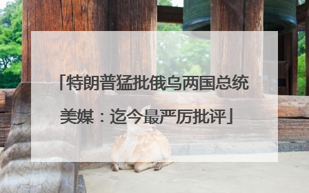 特朗普猛批俄乌两国总统 美媒：迄今最严厉批评