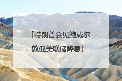 特朗普会见鲍威尔 敦促美联储降息