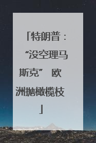 特朗普：“没空理马斯克” 欧洲抛橄榄枝