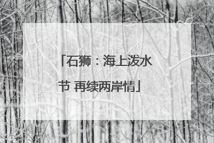 石狮：海上泼水节 再续两岸情