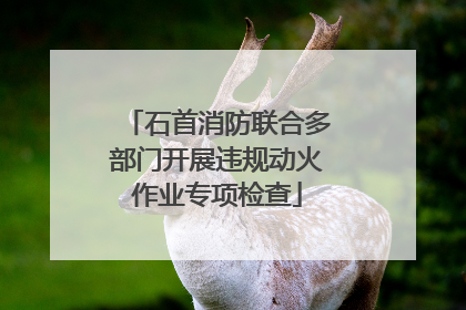 石首消防联合多部门开展违规动火作业专项检查