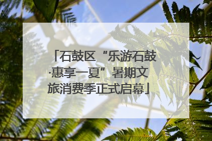 石鼓区“乐游石鼓·惠享一夏”暑期文旅消费季正式启幕