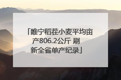 睢宁稻茬小麦平均亩产806.2公斤 刷新全省单产纪录