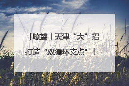 瞭望丨天津“大”招打造“双循环支点”