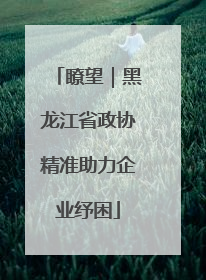 瞭望｜黑龙江省政协精准助力企业纾困
