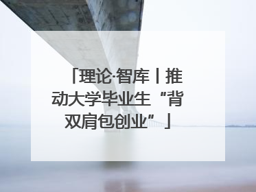 理论·智库丨推动大学毕业生“背双肩包创业”