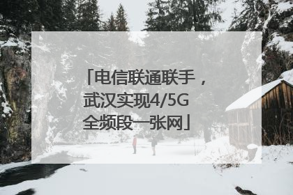 电信联通联手，武汉实现4/5G全频段一张网