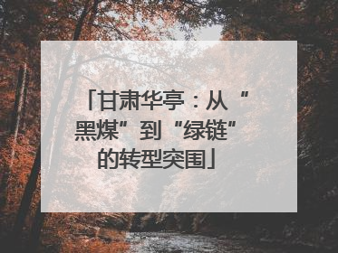 甘肃华亭：从“黑煤”到“绿链”的转型突围