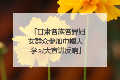 甘肃各族各界妇女群众参加巾帼大学习大宣讲反响