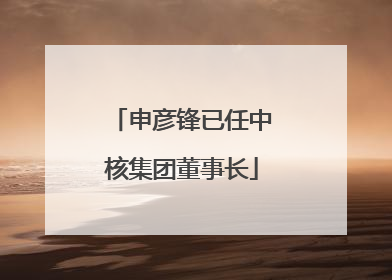 申彦锋已任中核集团董事长