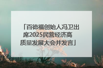 百德福创始人冯卫出席2025民营经济高质量发展大会并发言