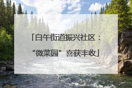 白午街道振兴社区：“微菜园”喜获丰收