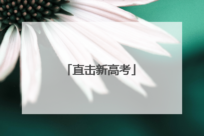 直击新高考