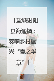 盐城射阳县海通镇：奏响乡村振兴“夏之华章”