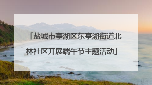 盐城市亭湖区东亭湖街道北林社区开展端午节主题活动