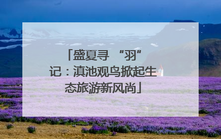 盛夏寻 “羽” 记：滇池观鸟掀起生态旅游新风尚