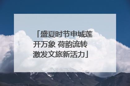 盛夏时节申城莲开万象 荷韵流转激发文旅新活力