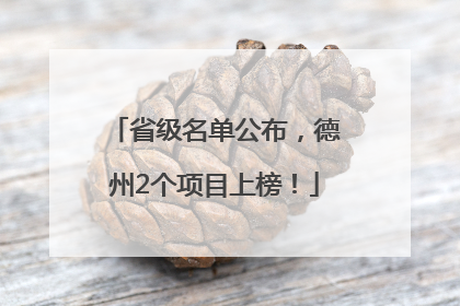 省级名单公布，德州2个项目上榜！
