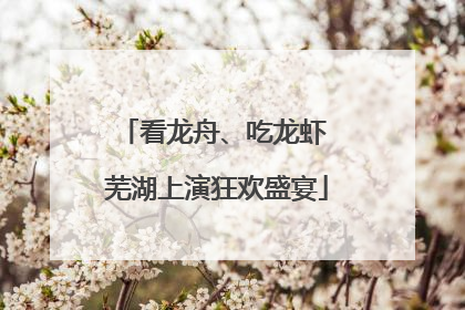 看龙舟、吃龙虾 芜湖上演狂欢盛宴