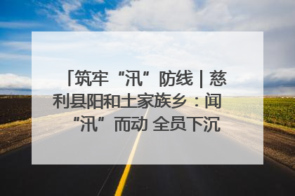 筑牢“汛”防线｜慈利县阳和土家族乡：闻“汛”而动 全员下沉筑牢防汛“安全堤”