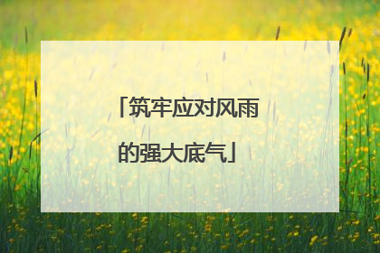 筑牢应对风雨的强大底气