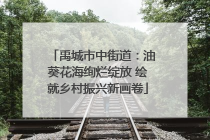 禹城市中街道：油葵花海绚烂绽放 绘就乡村振兴新画卷