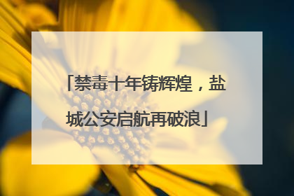 禁毒十年铸辉煌，盐城公安启航再破浪