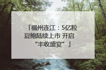福州连江：5亿粒夏鲍陆续上市 开启“丰收盛宴”