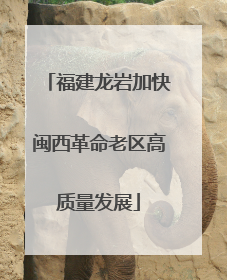 福建龙岩加快闽西革命老区高质量发展