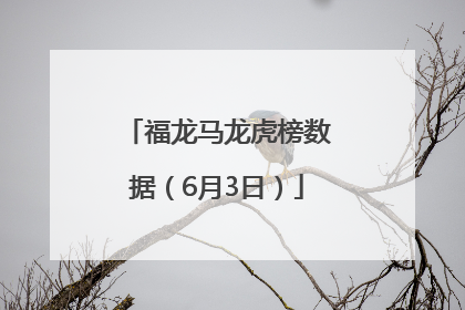 福龙马龙虎榜数据（6月3日）