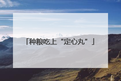 种粮吃上“定心丸”