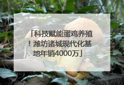 科技赋能蛋鸡养殖！潍坊诸城现代化基地年销4000万