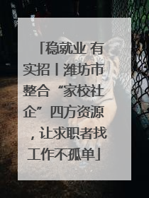 稳就业 有实招丨潍坊市整合“家校社企”四方资源，让求职者找工作不孤单