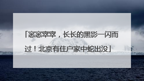 窸窸窣窣，长长的黑影一闪而过！北京有住户家中蛇出没