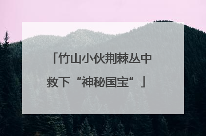 竹山小伙荆棘丛中救下“神秘国宝”