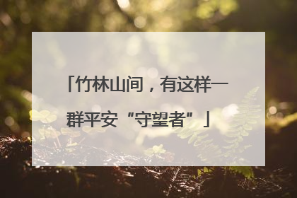 竹林山间，有这样一群平安“守望者”