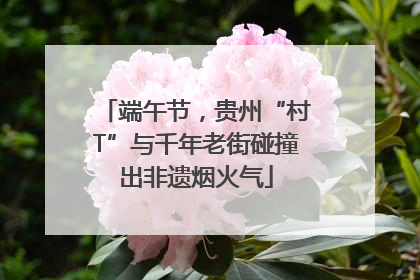 端午节，贵州“村T”与千年老街碰撞出非遗烟火气