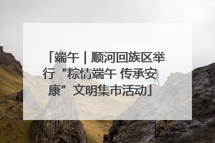 端午｜顺河回族区举行“粽情端午 传承安康”文明集市活动
