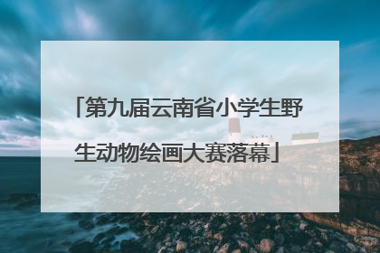 第九届云南省小学生野生动物绘画大赛落幕