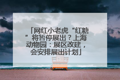 网红小老虎“红糖”将暂停展出？上海动物园：展区改建，会安排展出计划